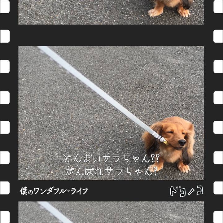 2be66e48 032c 4d34 b1d4 9baf648115aa