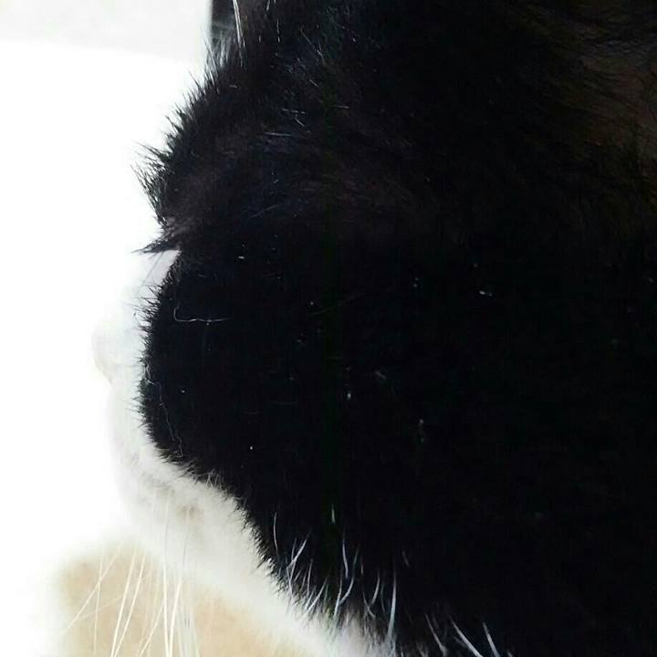 2be6f5fc c2cc 4cb8 8b67 5b85e12e7a82