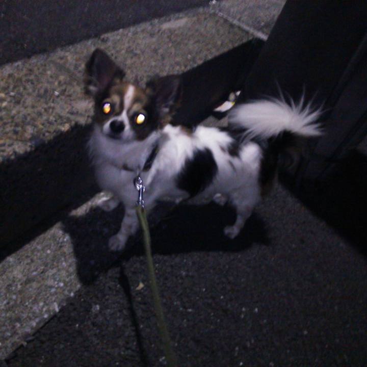 2be77e4e b8b6 4f81 8f87 8cc614cdfd96