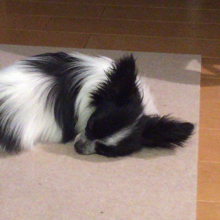 2be7ca0e ab9c 43bb 9952 65c177017056