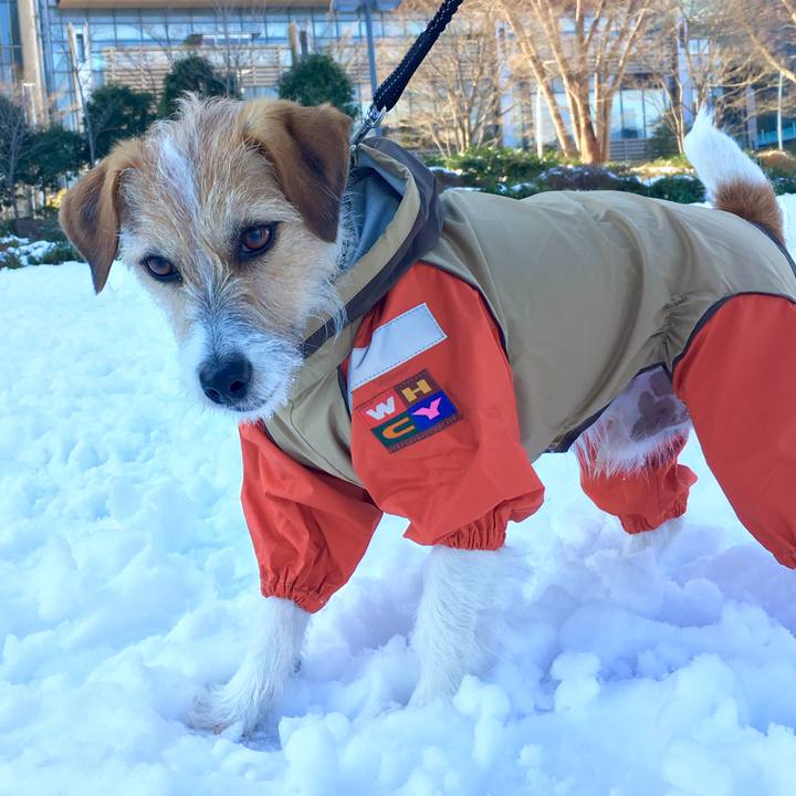 2be7e602 ba40 44d3 8b33 a5e3f423d97e