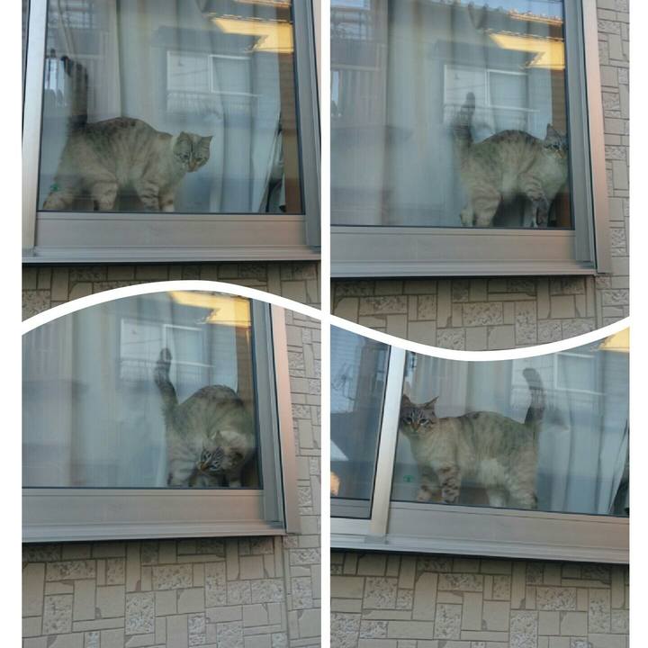 2be7fc2a 5f26 44d8 b7a4 36d804697814