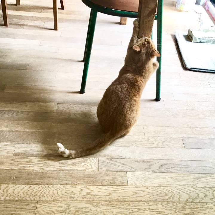 2be91272 f21e 4b4c 9be2 8cb8b4e9a6cb