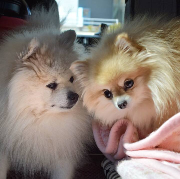 2be91f97 4324 4984 b308 7fb946a46598