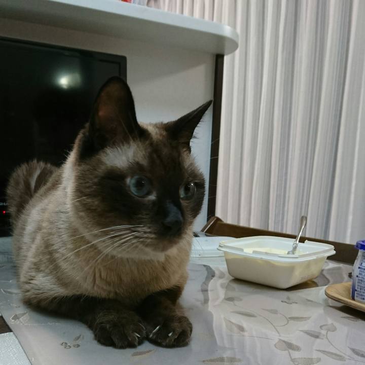 2bea1847 009b 4d02 a51e 0083a218ba01