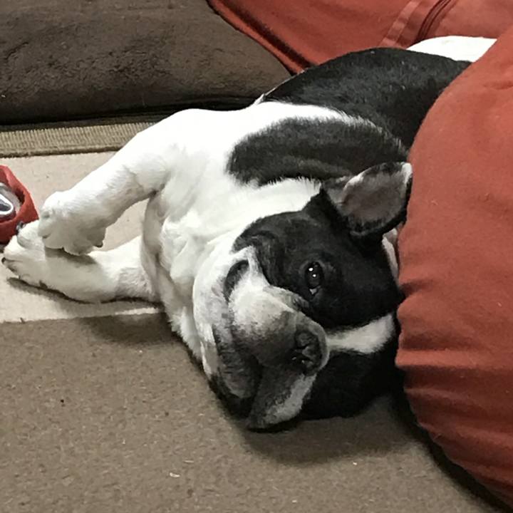 2beace40 26a2 4d88 8493 f33086a8bfdd