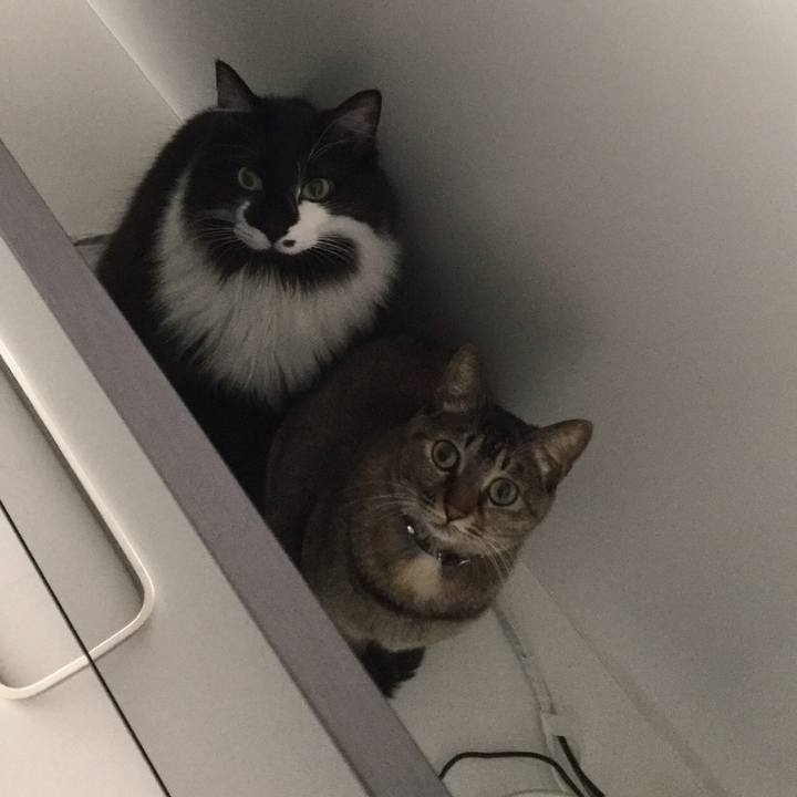 2beb0b8b 7213 45b9 8421 cae7e6e1dd2e