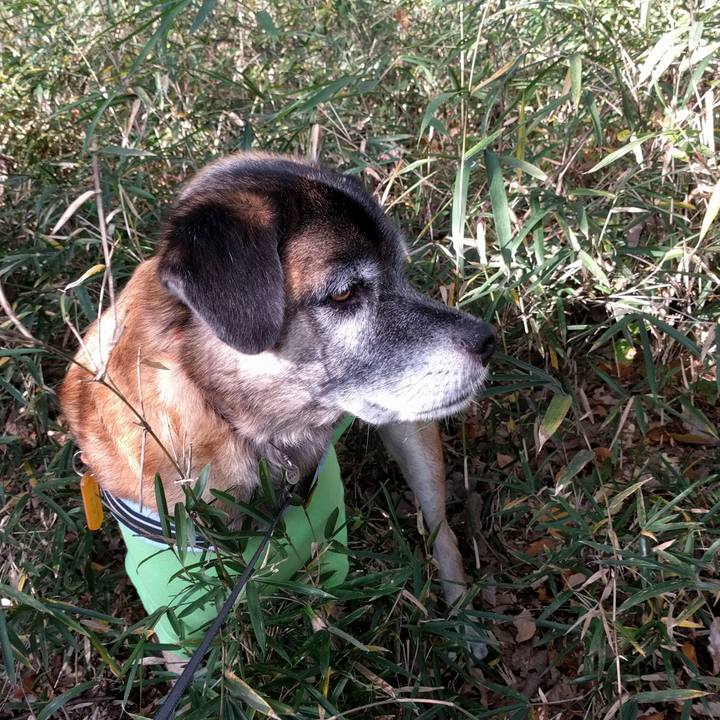 2beb1c97 d55a 47c9 bbcf 4089d57c617e