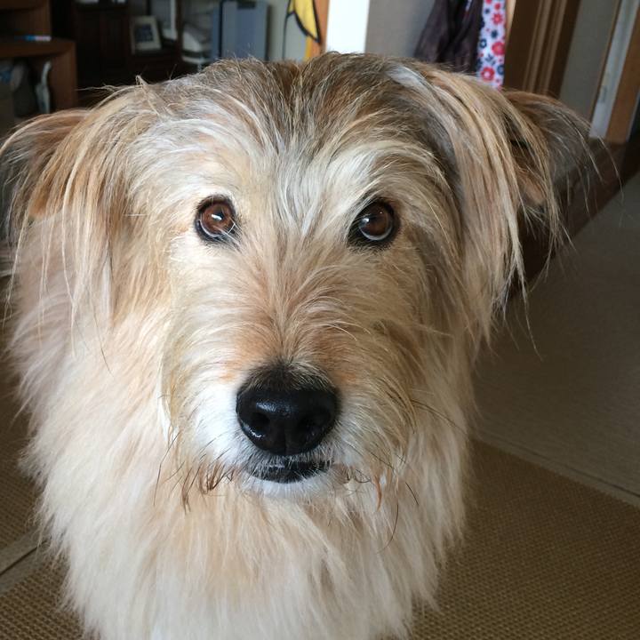 2beb61cf 08c0 4a1c 958f 897ab904604e