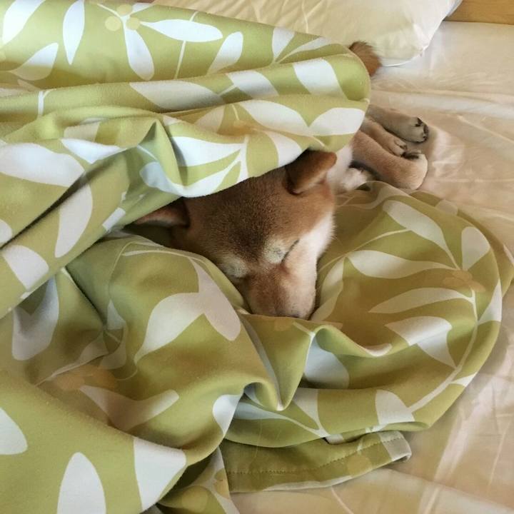 2bebb49a 3c16 4601 844c e4a8e9a46f21