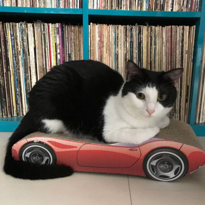 2bebe66b 0a79 47ee ac80 91a191db6e84