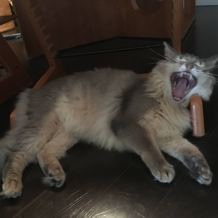 2bec16e3 3486 4528 ac44 c13b5d236a5b