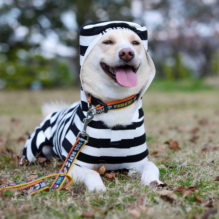 2bec8d5f 7d8c 4c64 b6fe fd71d5d789da