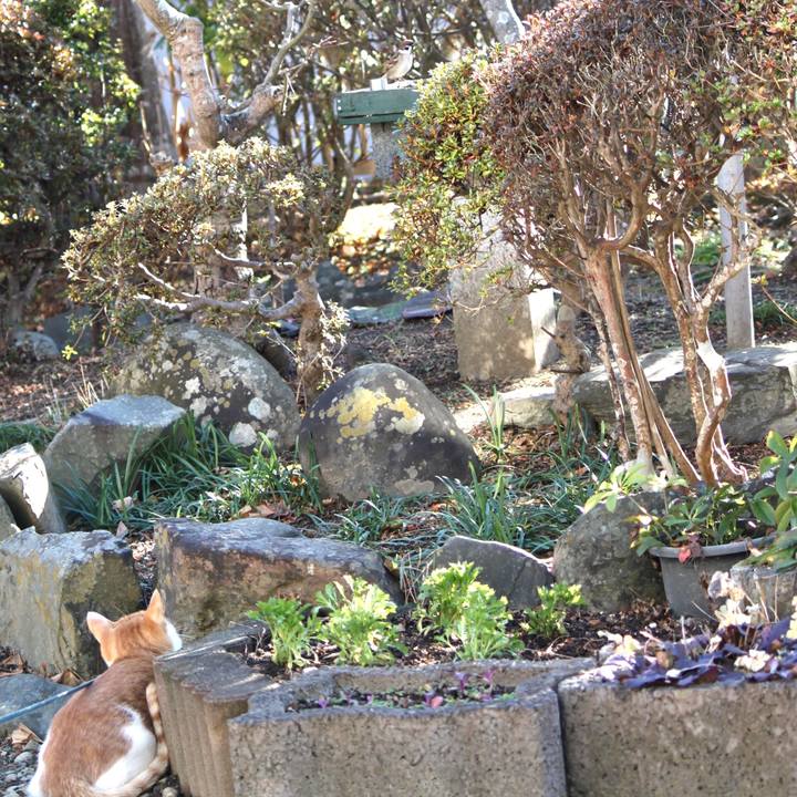 2beca6bb a246 484e ade1 99b895c9069d