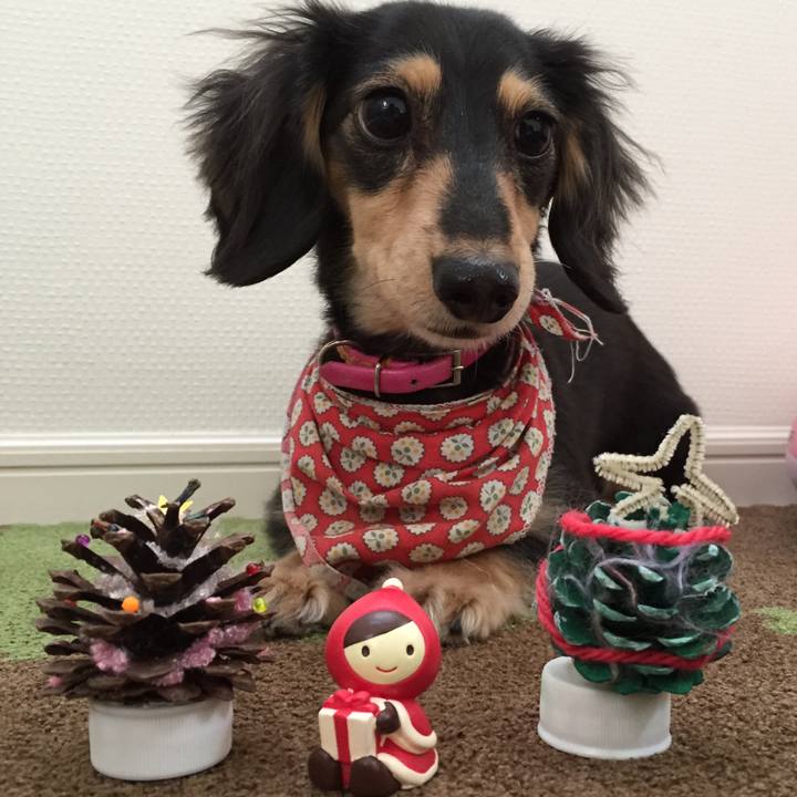 2bece01d 400e 404b ab23 0b1d5eee22ab