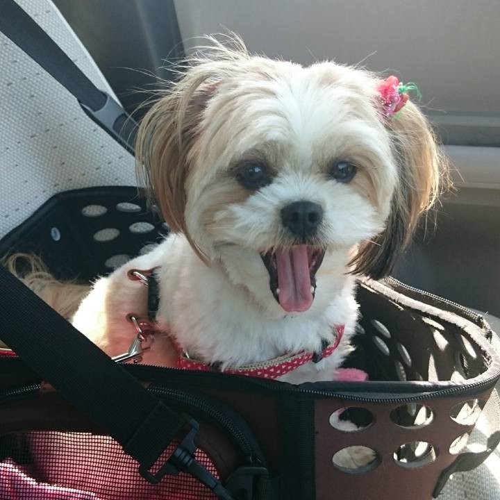 2becf1f6 ccbc 4012 9a10 614a8fa5f55a