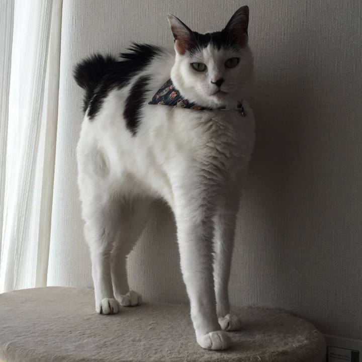 2bed5d4f cca1 415f 8723 69f46eb3e876