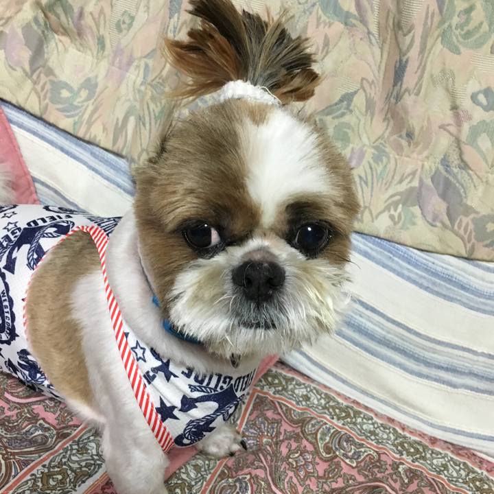 2bed9d6f 4a43 41fc afca 4e3bcd34b588