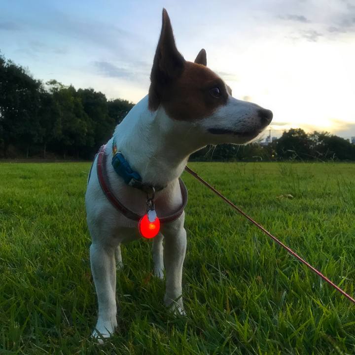 2bedfd0c 9114 4f9a a156 ae2c0165d731