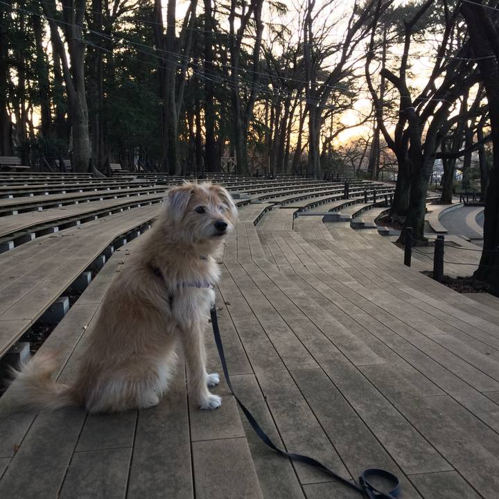 2bee0b19 d81e 49ae 8238 b04e4a796246