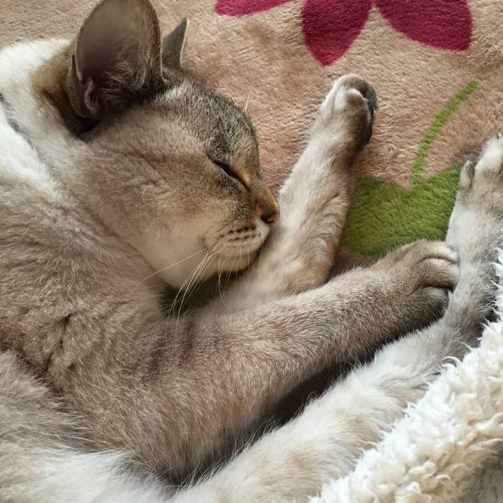 2bee30b1 2379 4600 ad77 702d999cb2d8