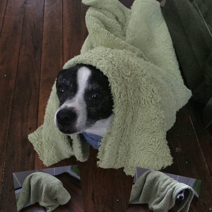 2beeda09 355b 4204 b65d 349c776afc07