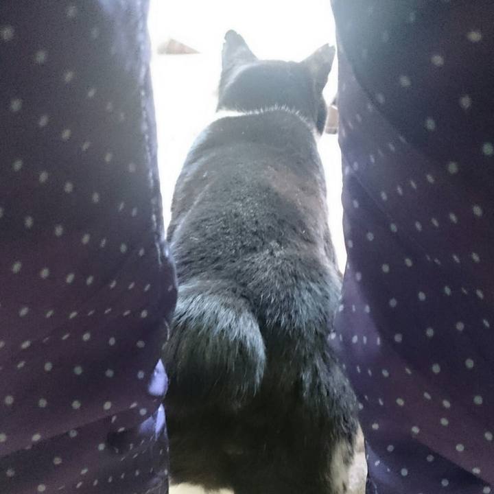 2bef6547 e7a5 4979 9b2a b21bf60e5ecd