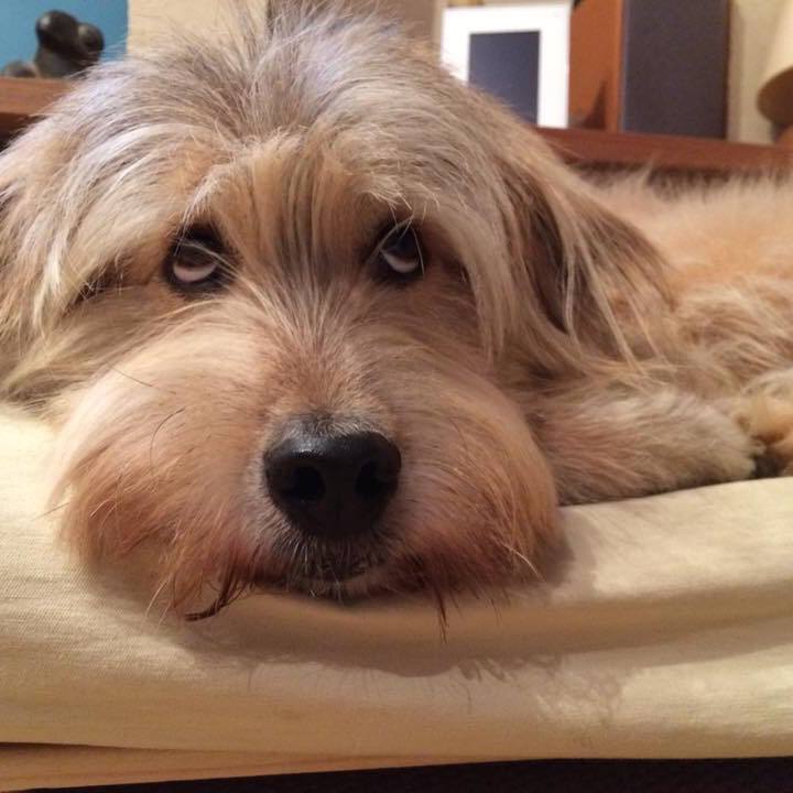 2bef79d1 4787 47ca 8df4 e7ed6521700b