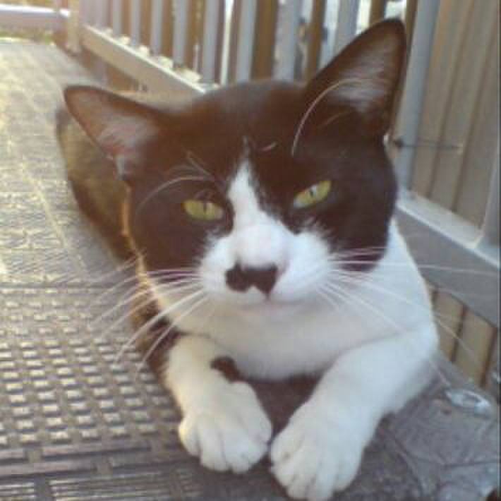 2befb06c e1f4 4fed b6f7 c5c149150e58