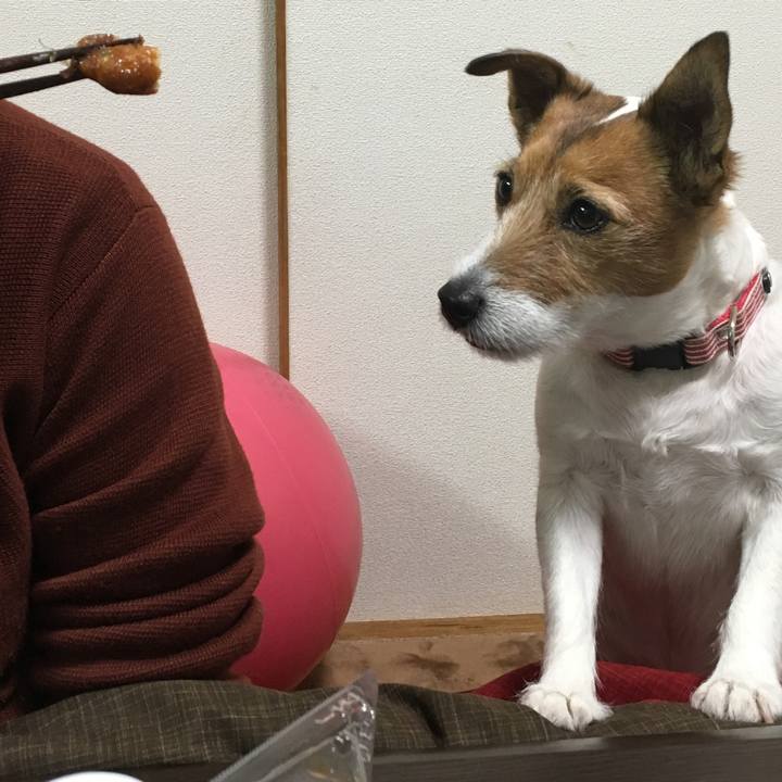 2bf006b3 e9f7 467c bde1 87cdc0721d8a