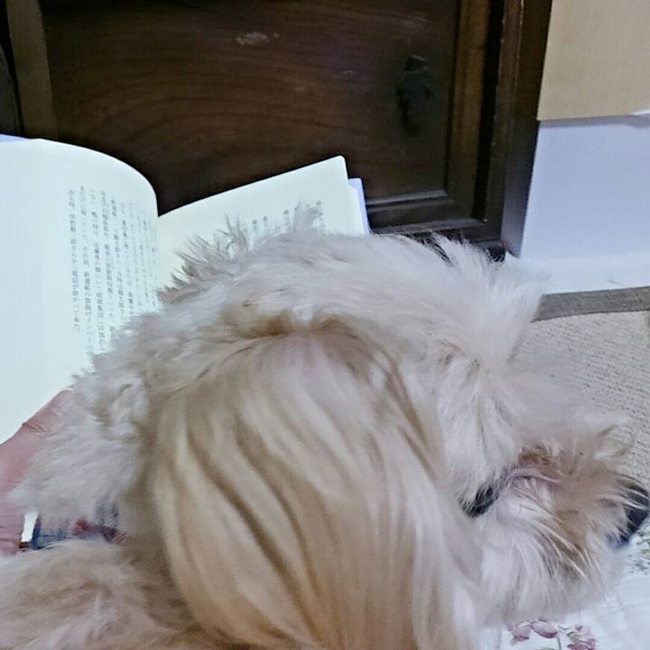 2bf06e49 8f21 418c 9f62 ad79702cf06d