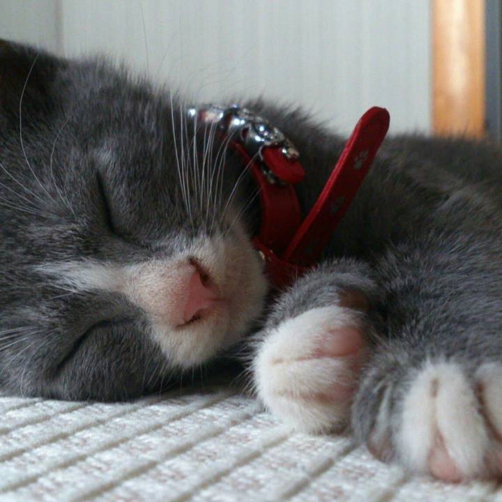 2bf08cd3 4596 4403 b4c8 0fc4d592fd53