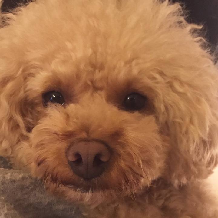 2bf096e1 2f89 4914 9d4a 287922c4f859