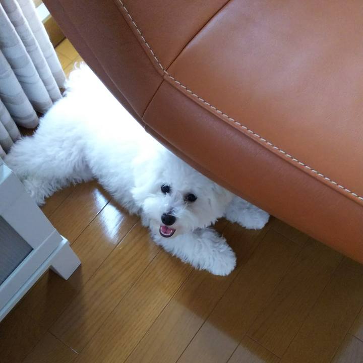 2bf1383f 337c 4444 92c9 3d3d0e3dc911