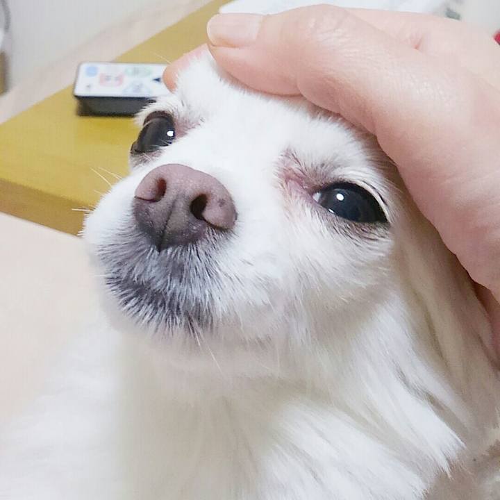 2bf1a841 38b9 4a8b acec e2218853002a