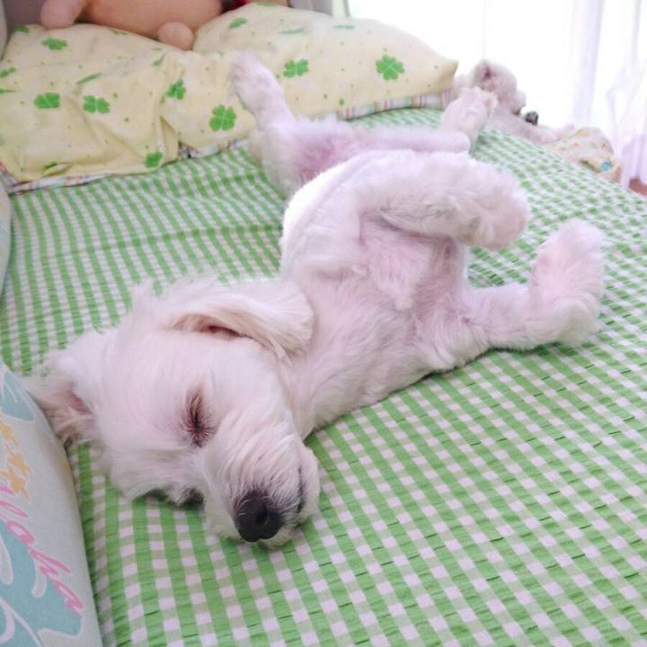 2bf206f8 e25f 44f0 962d 6b90acc5871e