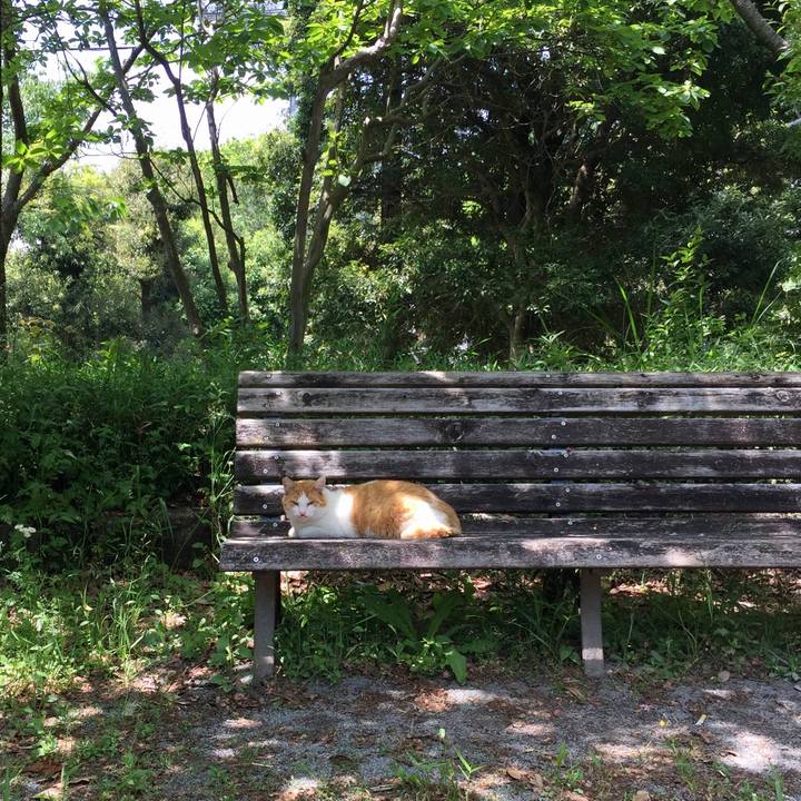 2bf23206 06ef 4db5 81ee ae9d778a63ec