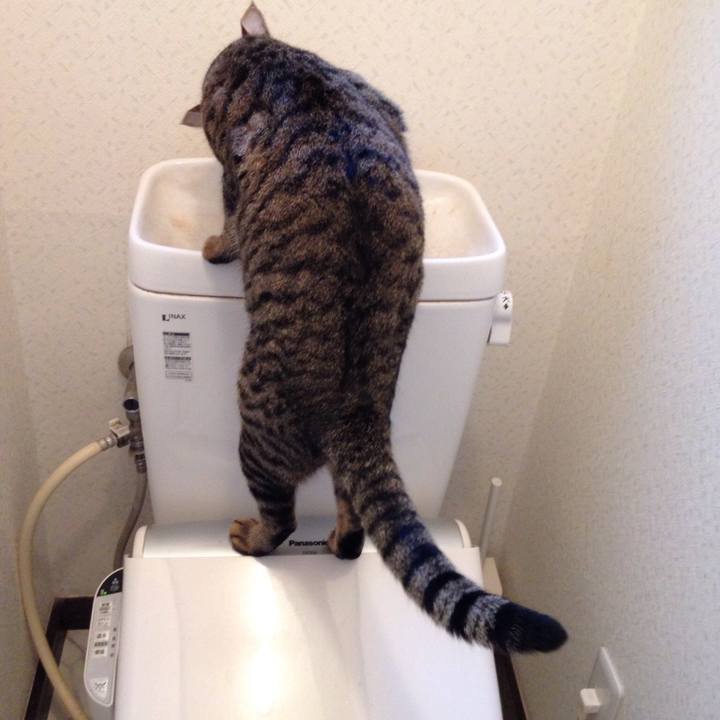 2bf2c898 6fbc 4fcb a163 be4c124e8ecb