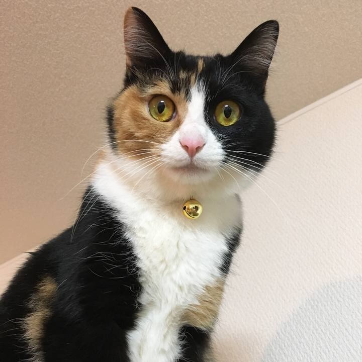 2bf30e1c 8974 4b3f bd18 cc6e254d91a9