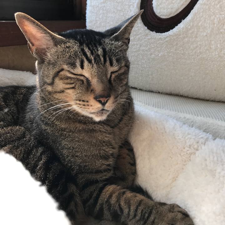 2bf38f77 73aa 4619 b772 9007482f6f74