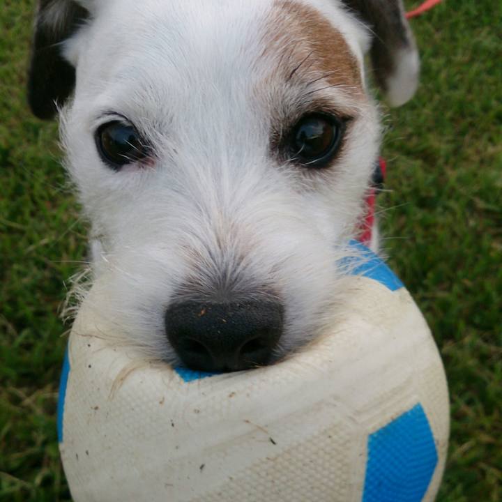 2bf3ad64 b170 4200 9f83 a71317bf5acf