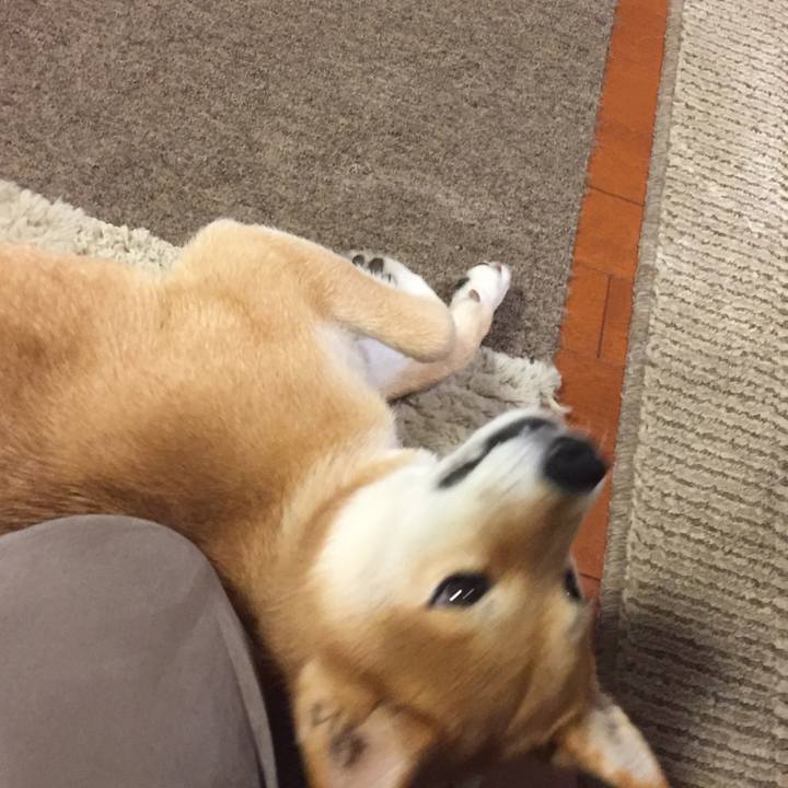 2bf3f41d 9cd3 4490 a4fc 0de90cf353cf