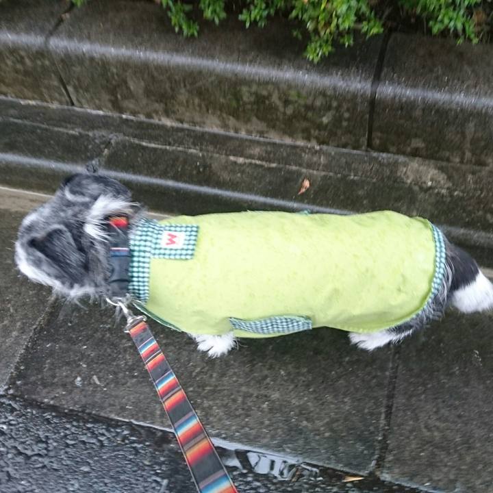 2bf4287c 549a 4291 bbd6 f66bc5450897