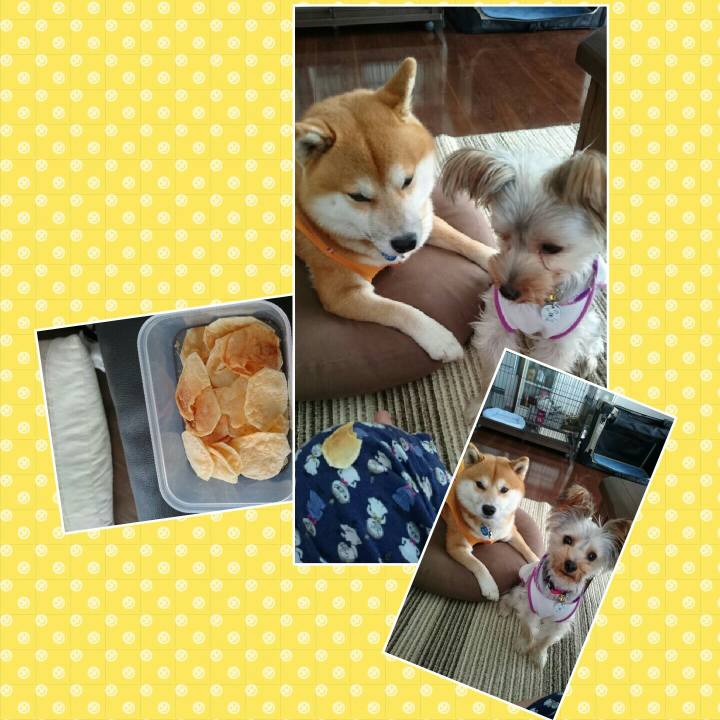 2bf43b2e 9c0c 4bd2 ba27 9a5e4cdab8e2