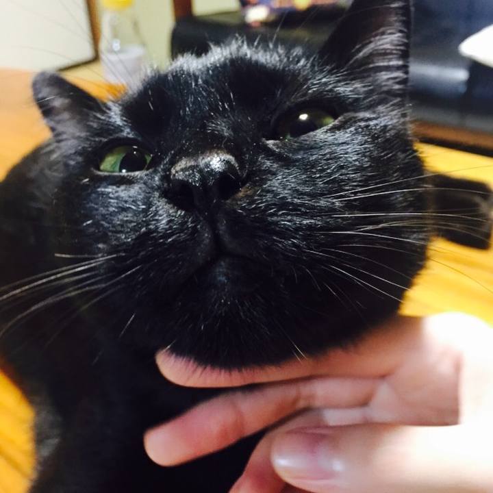 2bf48b27 5ea9 426c a6c0 4a79edef470c