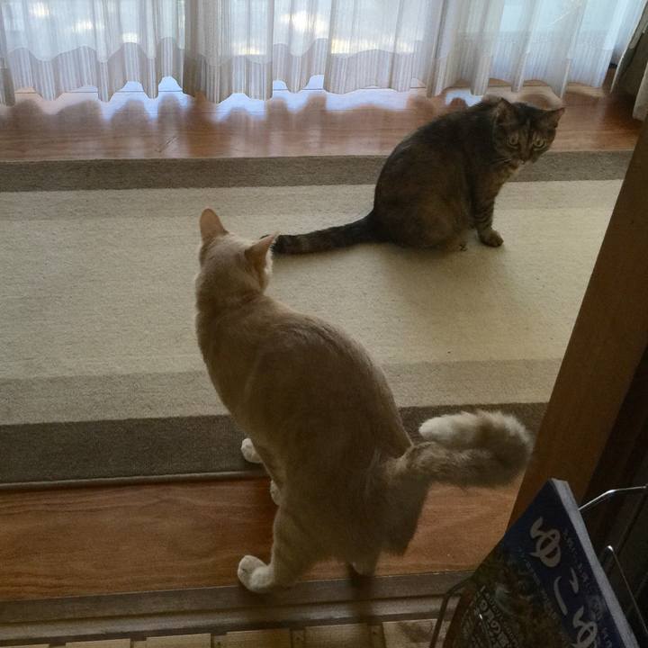 2bf4d5b0 5abf 4457 93b5 b28e3adb4b1d