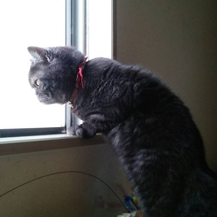 2bf50319 753c 414c bf63 a2b14a7e5691