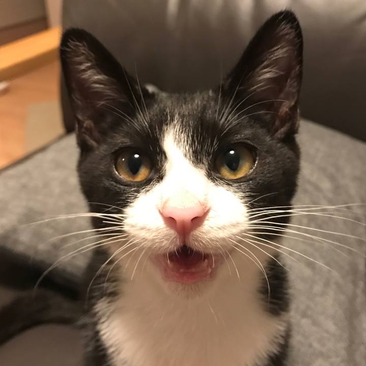 2bf529be f304 4cfd b71c 40fdf63f50e8