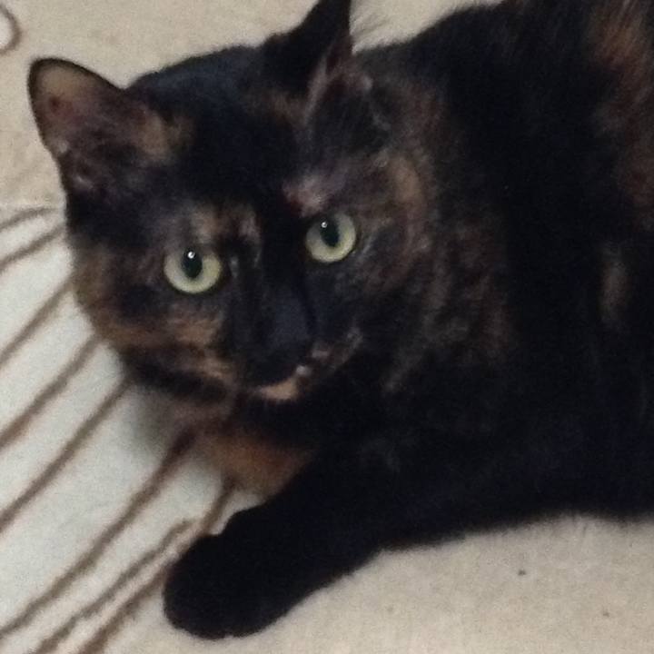 2bf55689 8e5c 4c91 9d81 bde74292ce50