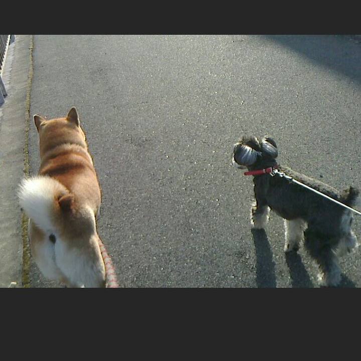 2bf603c1 c0ac 438f ac05 17dafa3df3b0